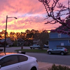 Meet your Posher, Elena